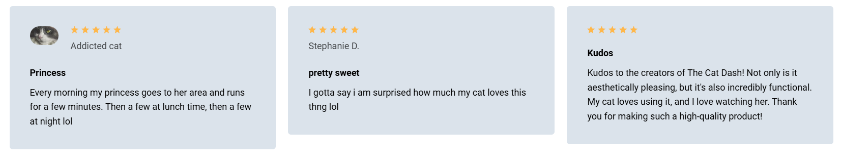 cat treadmill reviews