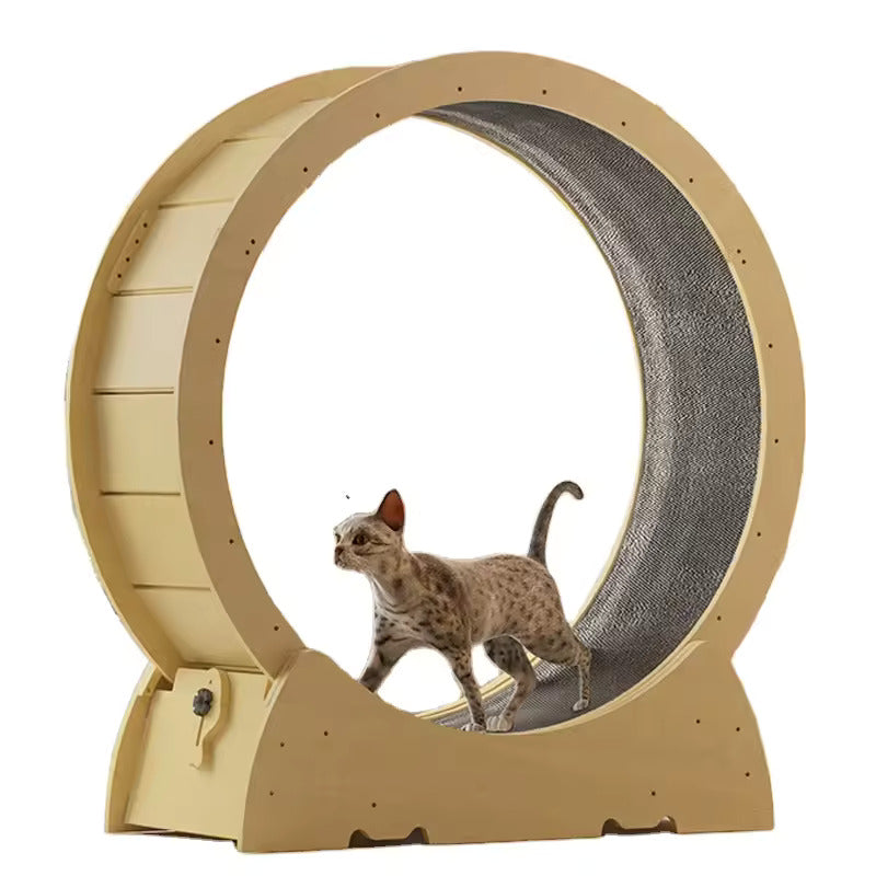 Cat Exercise Wheel - Best Cat Wheel for Big Fun